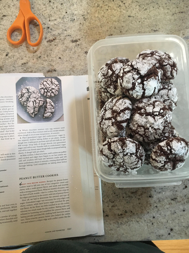 Dads cookies turned out just like the picture Chocolate crinkle cookies from Americas Test Kitchen