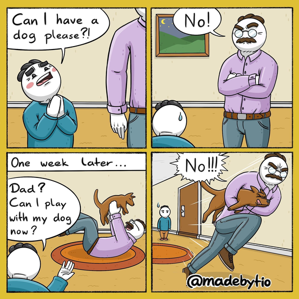 Dads in a nutshell