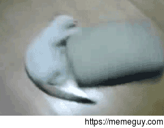 Daily physical exercise