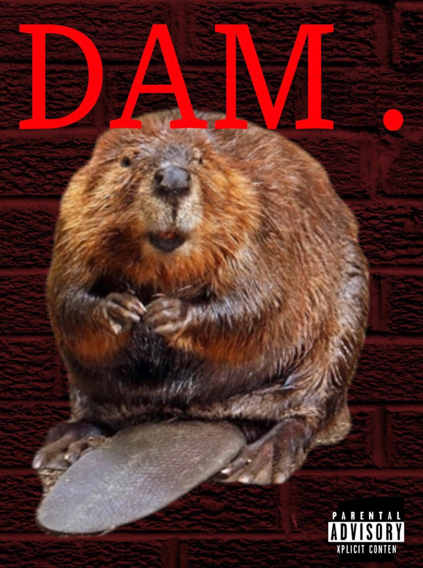 DAM 