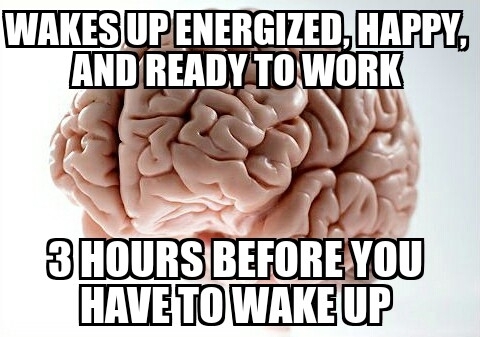 Dammit brain