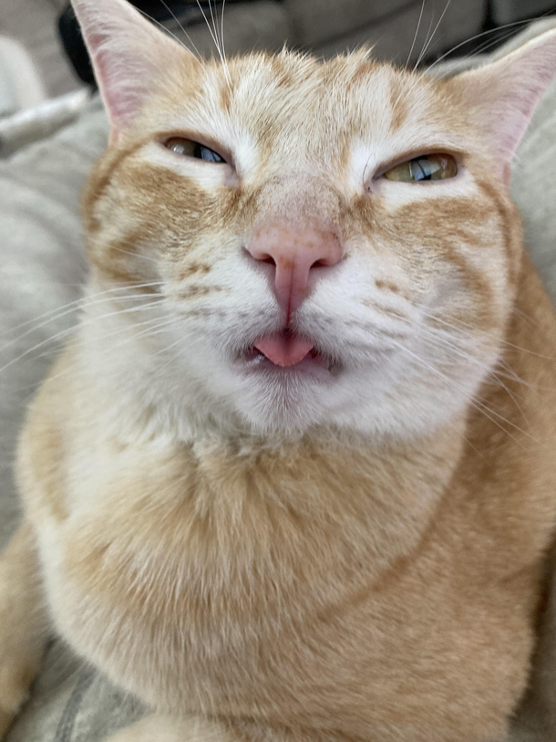Dammit Uncle Rico I told you to lay off the nip