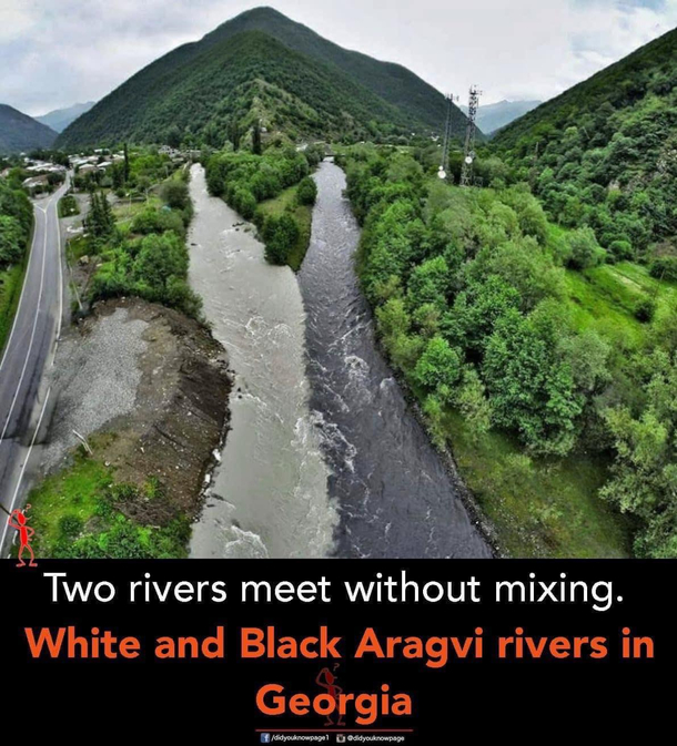 Damn even nature is segregated