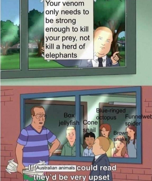 Damn if only they could read