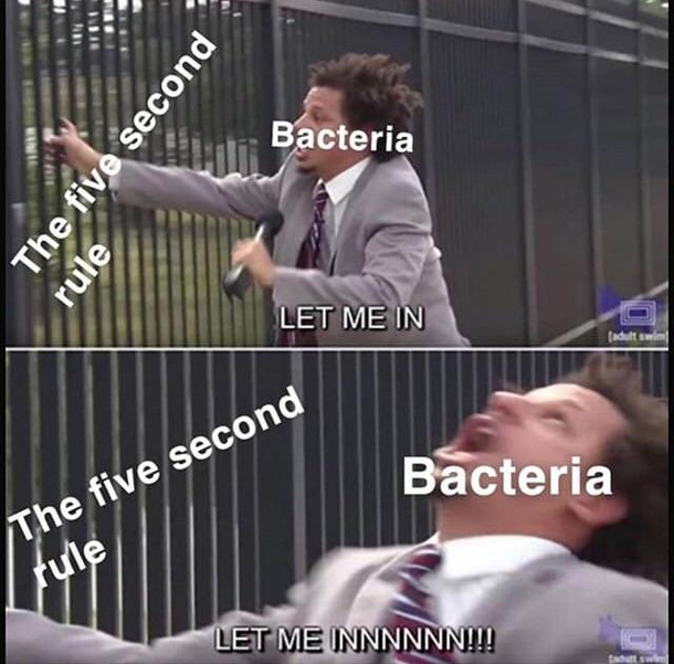 Damn  seconds