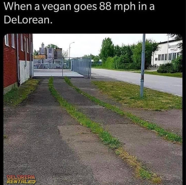Damn they got energy