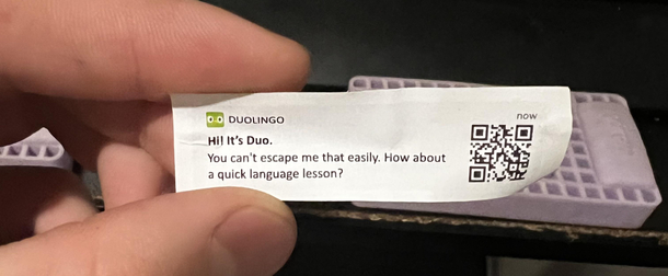 Damnit Duolingo