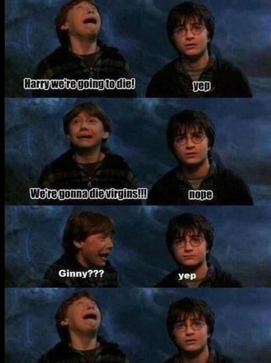 Damnit Harry