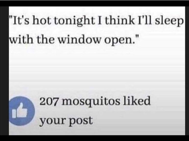 Damnit I shouldnt have said it out loud