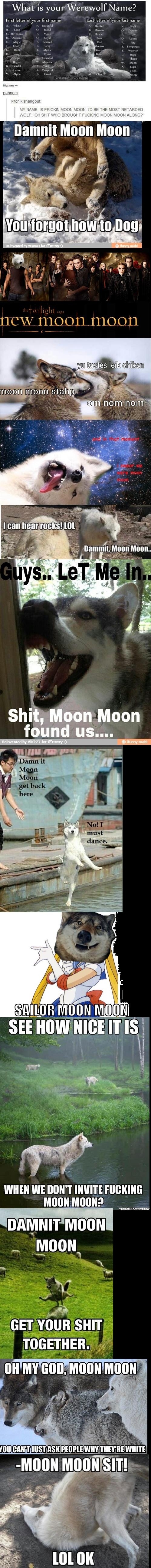 Damnit Moon Moon