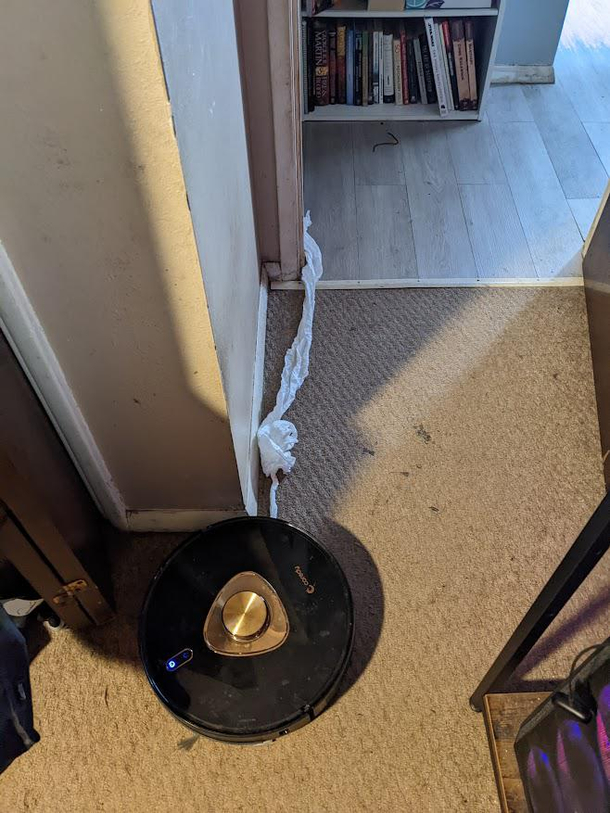 Damnit roomba
