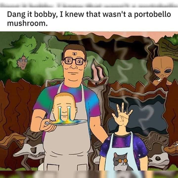 Dang it Bobby