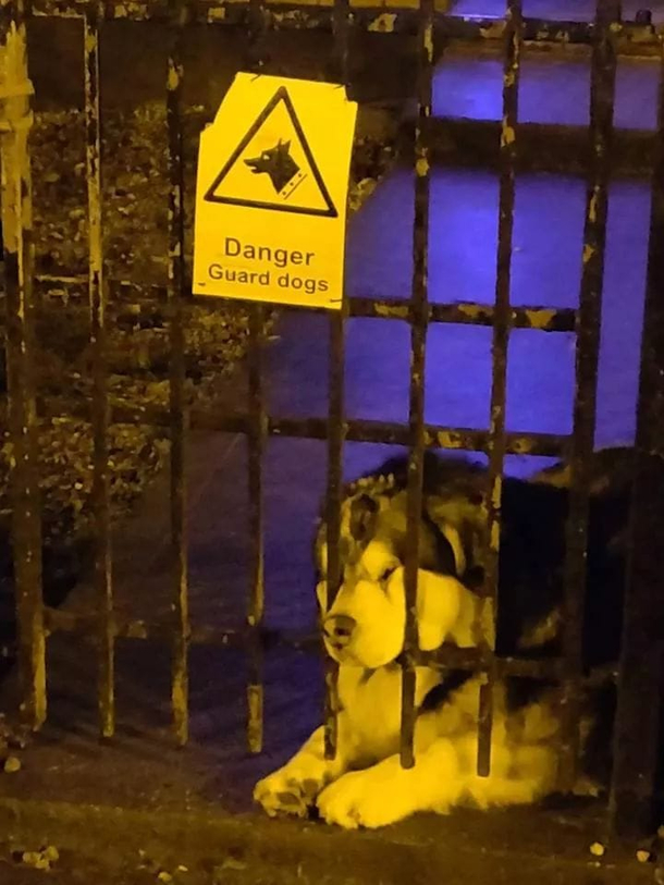 Danger Danger