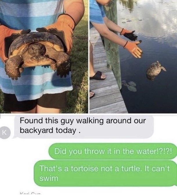 Darwin didnt see this comin