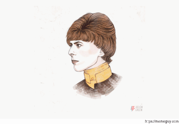 David Bowies different looks through his  year carreer