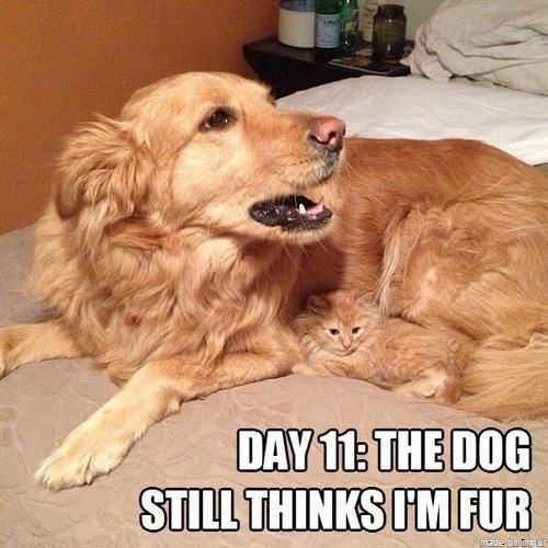 Day 