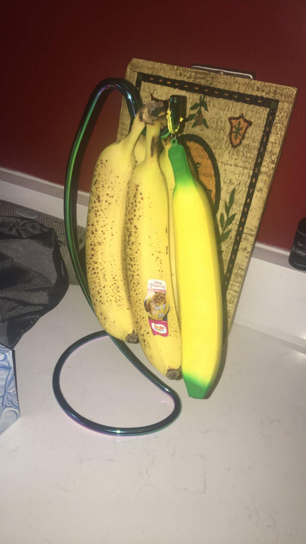 Day  my family suspects nothing