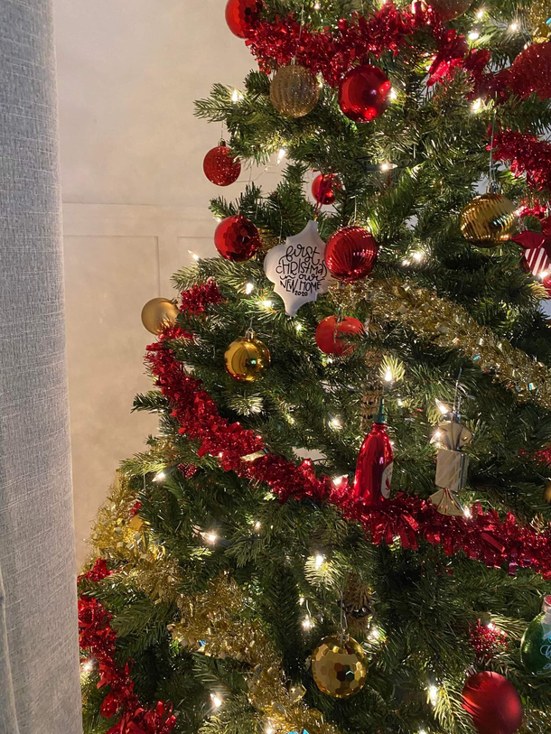 Day  of my wife not noticing the tomato in our Christmas tree 