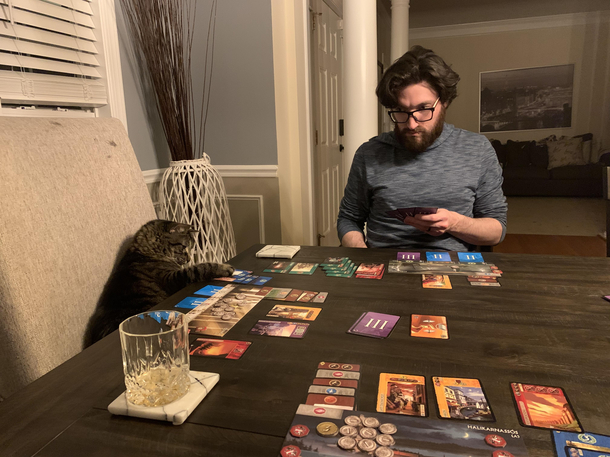 Day  of quarantine The cat continues to kick our asses at board games 