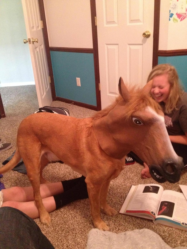 Day  They havent discovered my secret identity yet