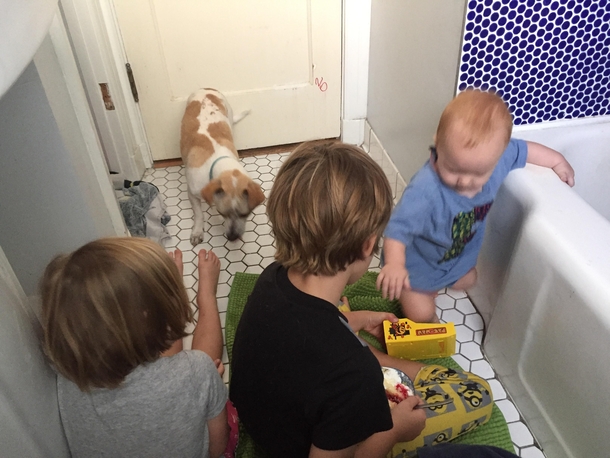 Day  Why cant I poop alone