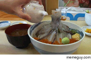 Dead Cuttlefish  Soy Sauce Reanimated Cuttlefish