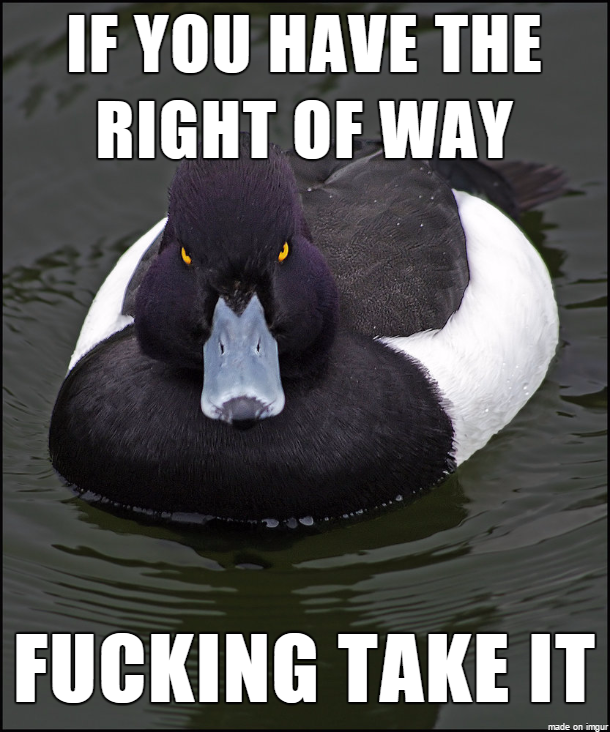 Dear fellow drivers