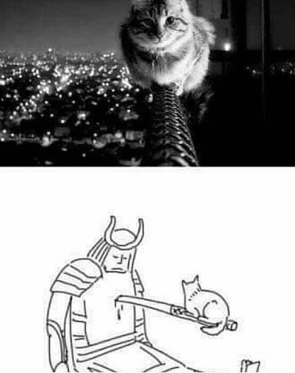 Dear god D