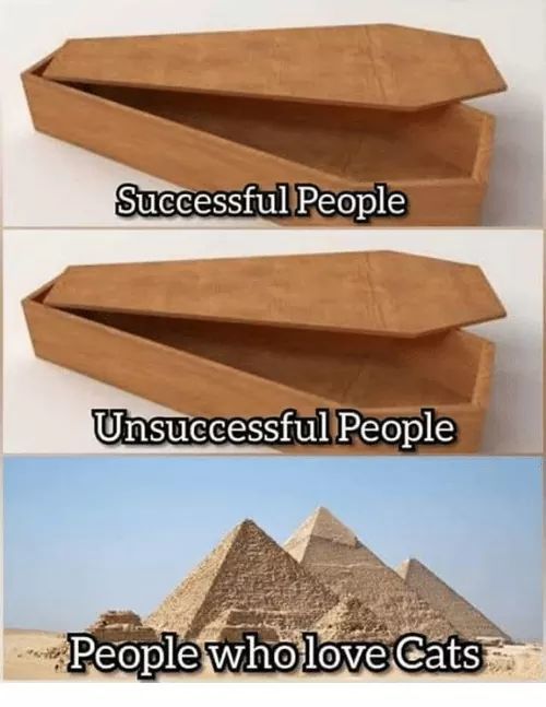 Death for redditors