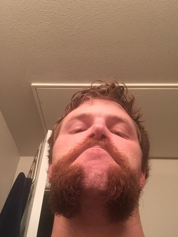 Decided to have a little fun before I shaved the beard completely