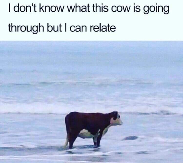 Deep Thoughts