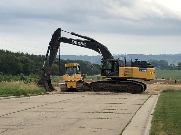 Deere in the wild protecting its young