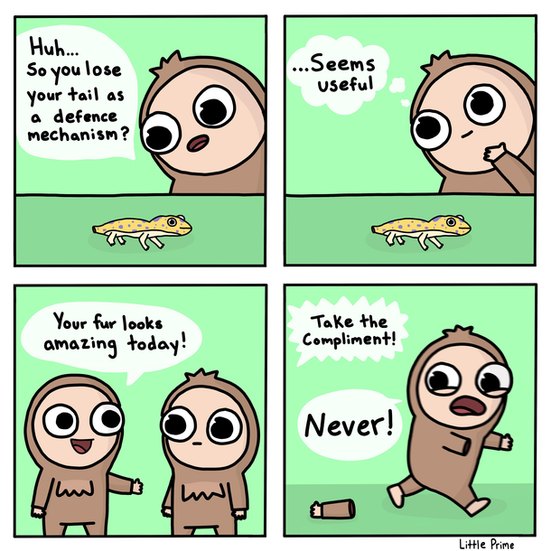 defence mechanism 