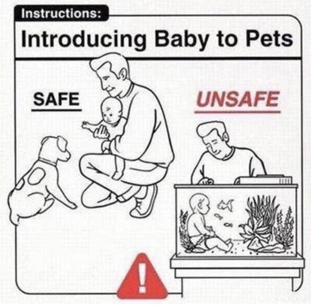 Definitely not safe