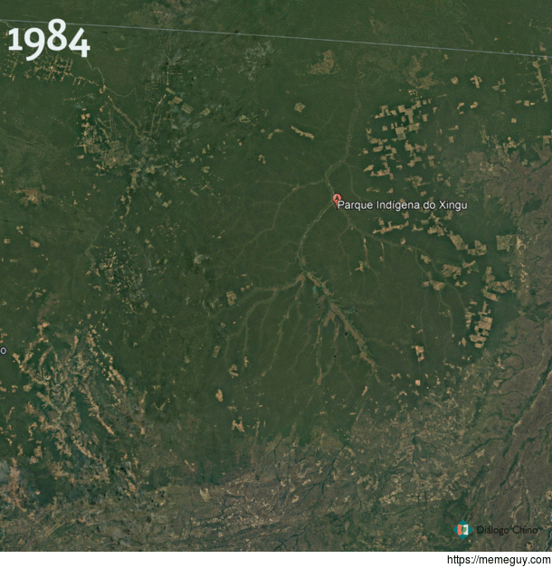 Deforestation exponentially increases around indigenous land in Brazil since 