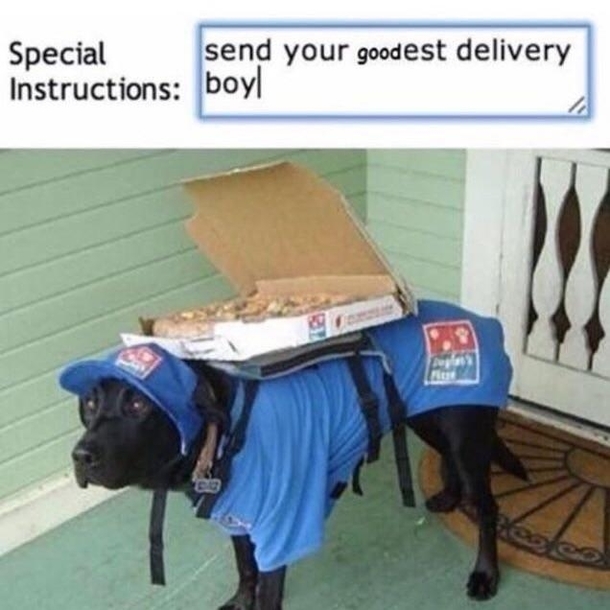 Delivery bork