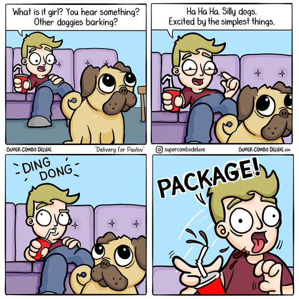 Delivery for Pavlov 