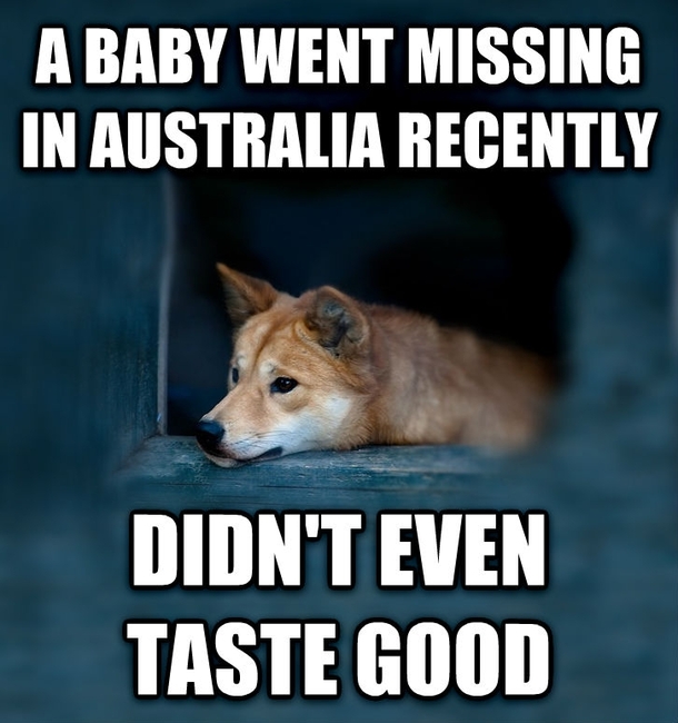 Depressed Dingo