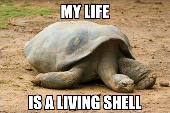 Depression Tortoise