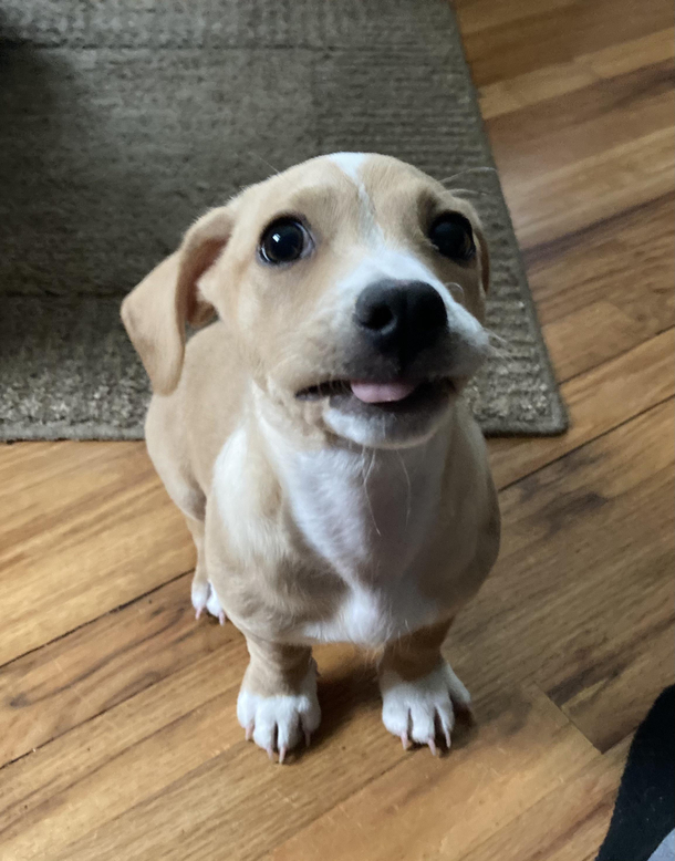 Derpy Winnie