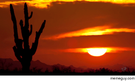 Desert Sunset