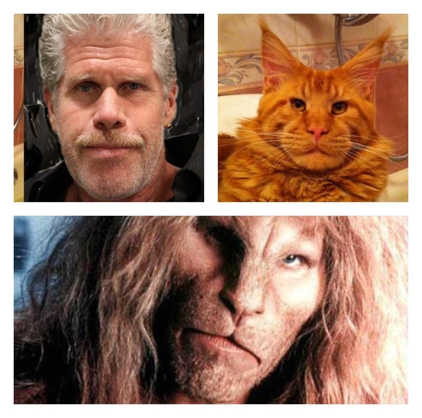 Despite the picture I would never call Ron Perlman a pussy to his face