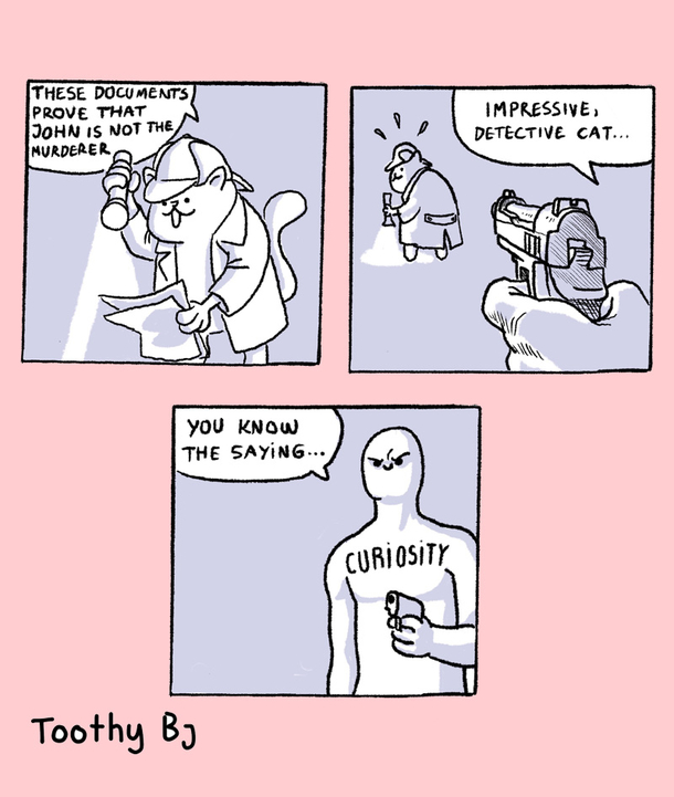 Detective Cat 