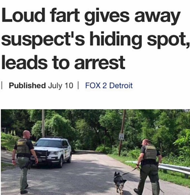 Detective smelly on the case