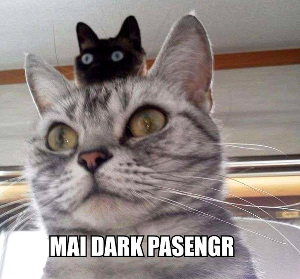 Dexter kittah
