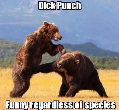 Dick Punch
