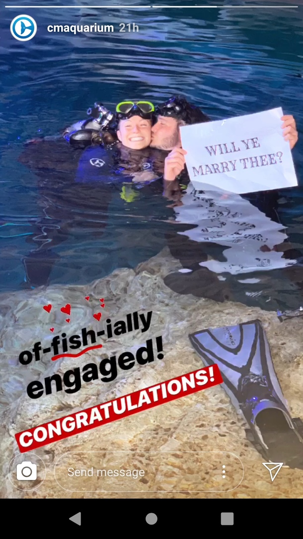 Did he just ask her to marry herself