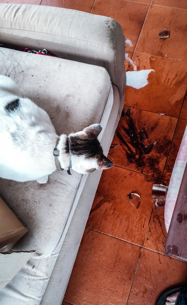 Did I do that  coffee mugs remaining