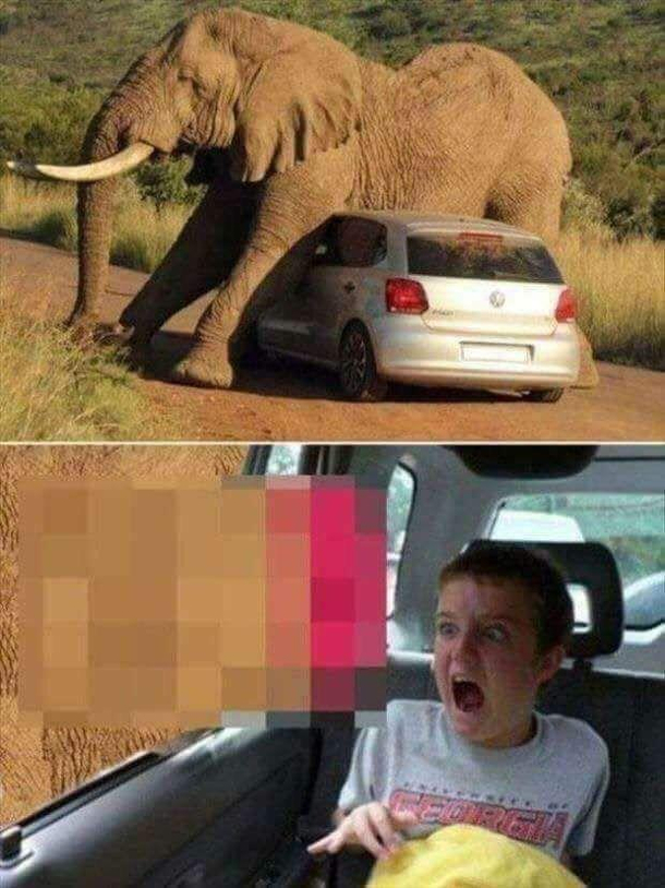 Did NOT need to see that