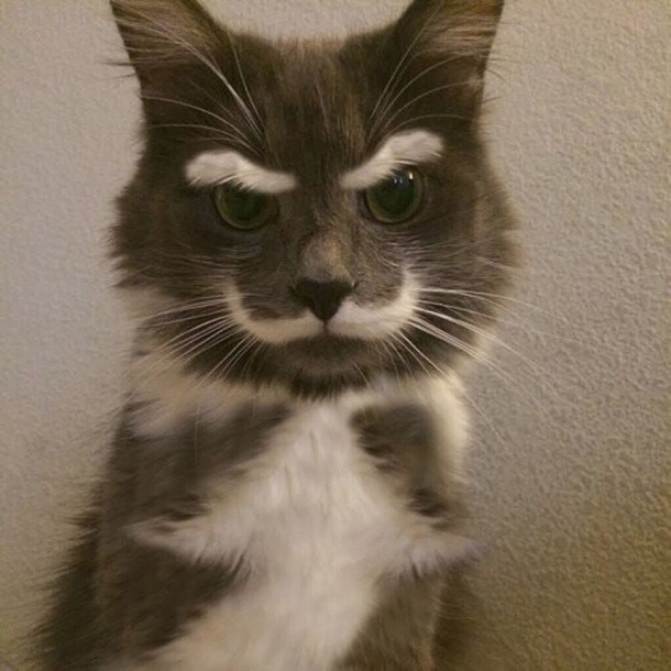 Did someone call the king of reddit